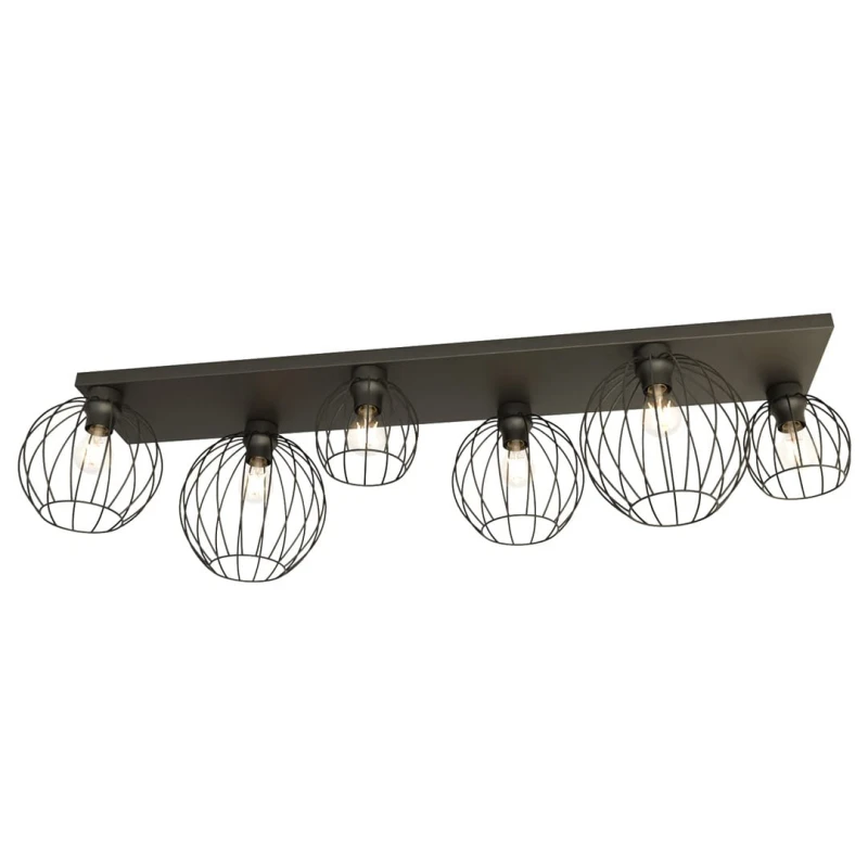 NEST 6 BL 1