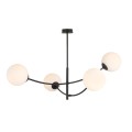 Lampa sufitowa Hunter 4 Black/Opal 1