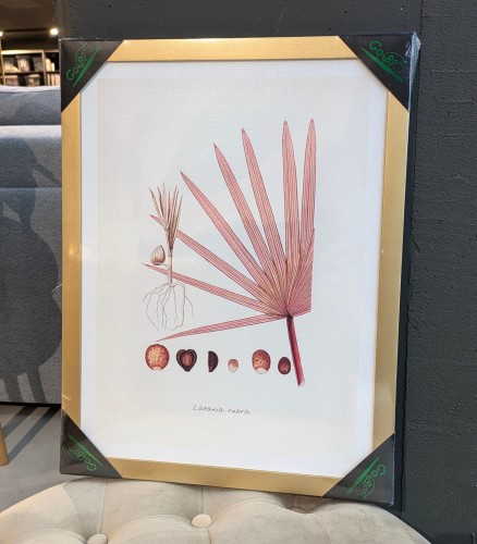 Obraz Botanika Liście G102581 33x43cm RC z ekspozycji