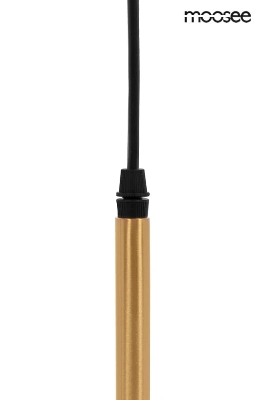 MSE010100395_riva_2_6.jpg
