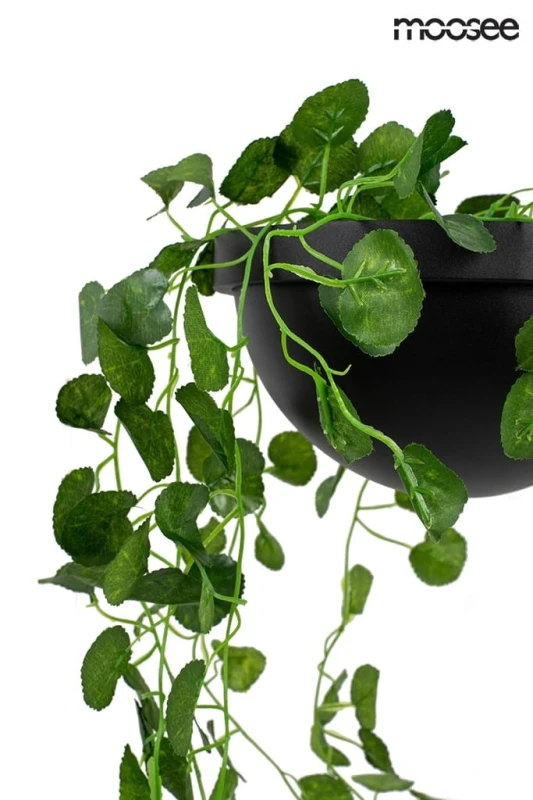 MSE010400222_plant_wall_logo_4.jpg