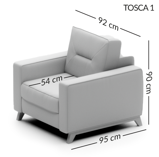 TOSCA_1.png