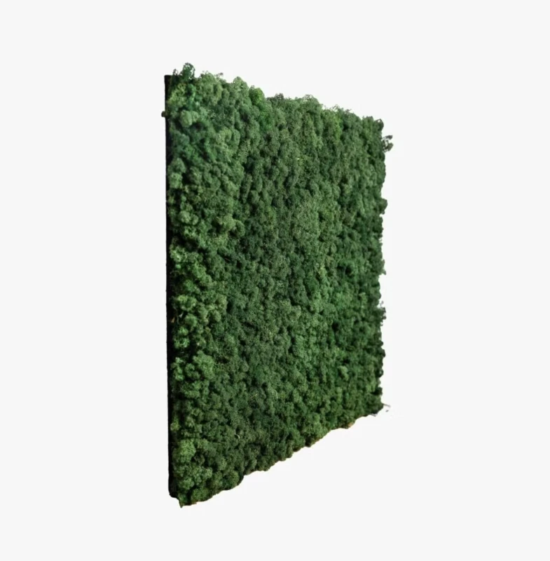 panel-z-mchu-ciemnozielony