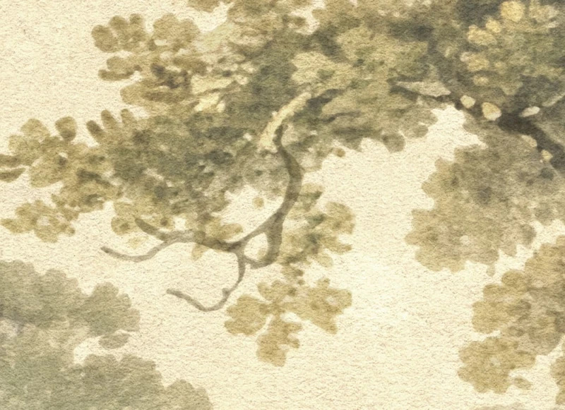 R18831_closeup1.jpg