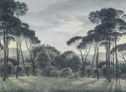 Fototapeta Blue Pine Wood Rebel Walls R18840