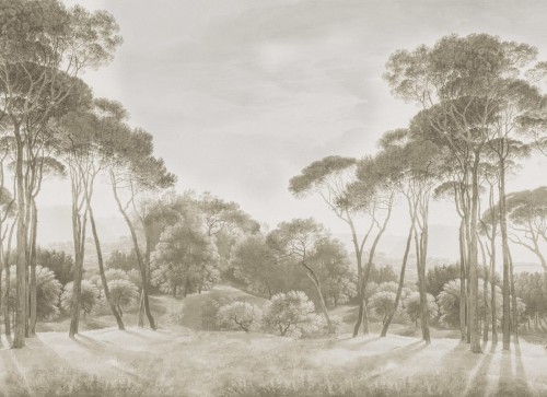 Fototapeta Vintage Pine Wood Rebel Walls R18841