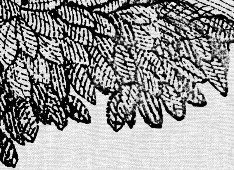 R19442_closeup1.jpg