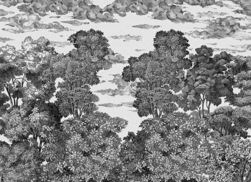 Fototapeta Graphite Bellewood Under The Clouds Rebel Walls R19442