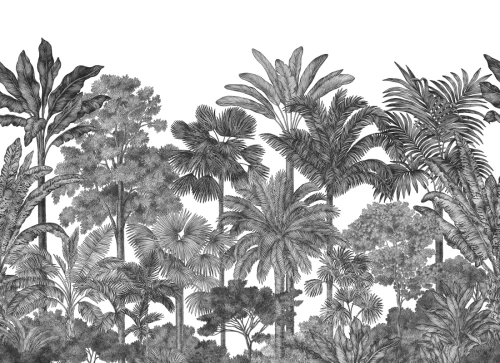 Fototapeta Graphite Tropical Bellewood Rebel Walls R17594