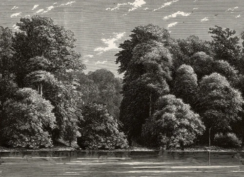 Fototapeta Vintage Spring Season Rebel Walls R19218