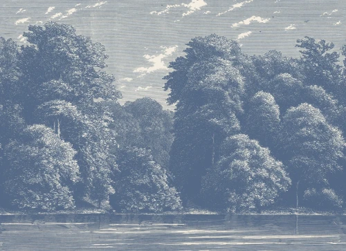 Fototapeta Blue Spring Season Rebel Walls R19219