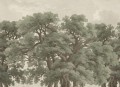 Fototapeta Green Vintage Oaks Rebel Walls R18819 1