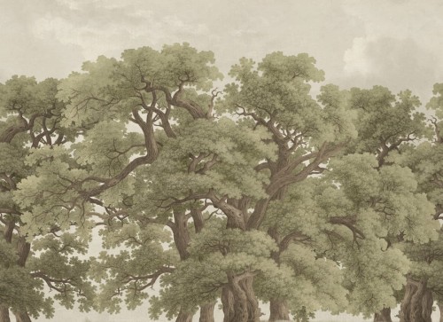 Fototapeta Vintage, Vintage Oaks Rebel Walls R18820