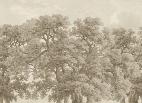 Fototapeta Beige Vintage Oaks Rebel Walls R18821