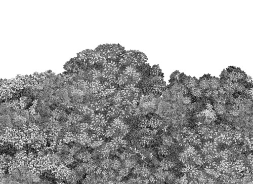 Fototapeta Black Belle Buisson Rebel Walls R18793