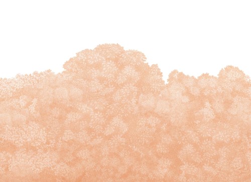 Fototapeta Peach Fuzz Belle Buisson Rebel Walls R20232