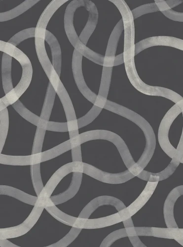 Fototapeta Serpentine Graphite Rebel Walls R18745