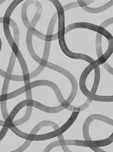 Fototapeta Serpentine Gray Rebel Walls R18746