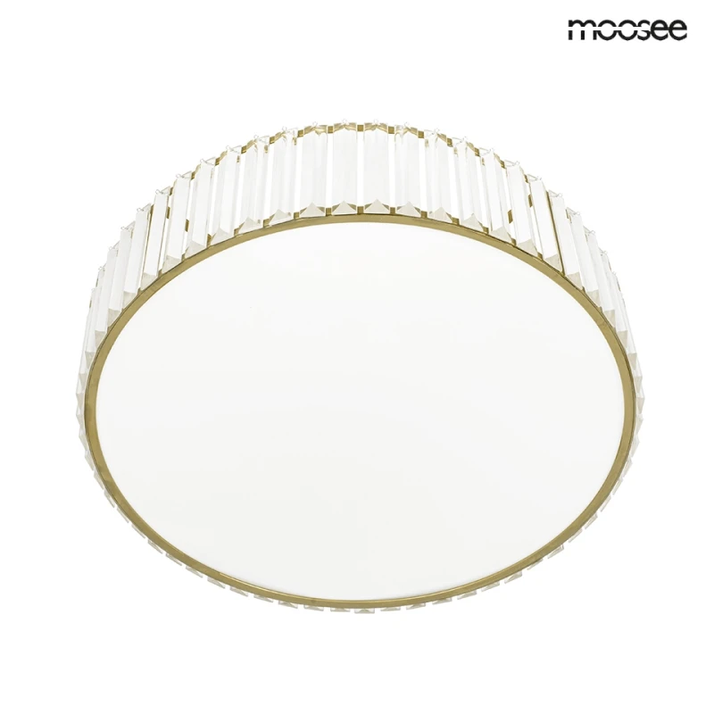 MSE010100366_crown50_3.jpg