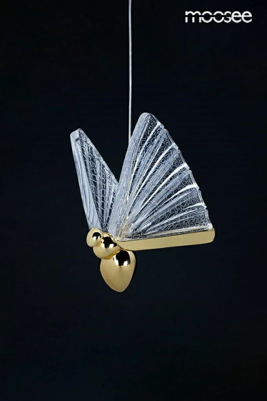 MSE010100322_butterfly_g_wisz_5.jpg