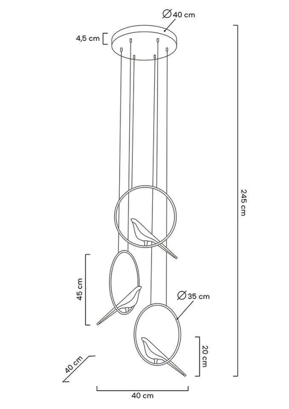 MSE010100294_BIRD DISC.jpg