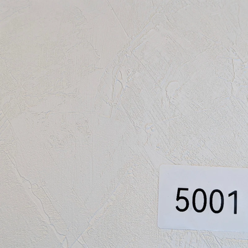 5001.jpg