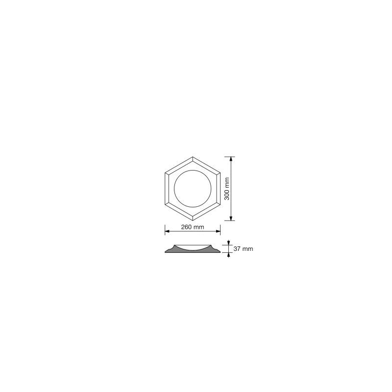 pol_pl_Plyta-betonowa-3D-PB01D-260x300x37-jasnoszary-S50-5335_6.webp
