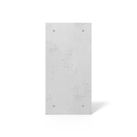 pol_pm_Plyta-betonowa-3D-PB30-1200x600x20-jasnoszary-S50-4782_1.webp