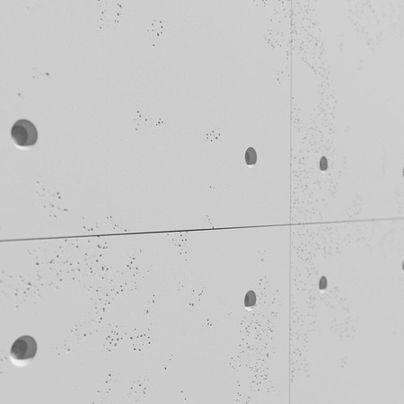 pol_pm_Plyta-betonowa-3D-PB30-1200x600x20-jasnoszary-S50-4782_4.webp