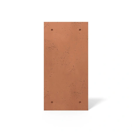 pol_pm_Plyta-betonowa-3D-PB30-1200x600x20-terakota-CL01-5691_1.webp