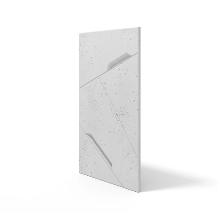 pol_pm_Plyta-betonowa-3D-PB18-1200x600x38-jasnoszary-S50-4778_2.webp