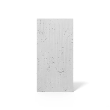 pol_pm_Plyta-betonowa-3D-PB23-1200x600x25-jasnoszary-S50-5238_1.webp