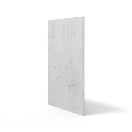pol_pm_Plyta-betonowa-3D-PB23-1200x600x25-jasnoszary-S50-5238_2.webp