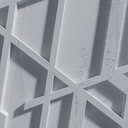 pol_pm_Plyta-betonowa-3D-PB27-1200x600x35-szary-S96-5121_5.webp
