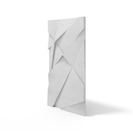 pol_pm_Plyta-betonowa-3D-PB05A-1200x600x48-jasnoszary-S50-wzor-A-4859_2.webp