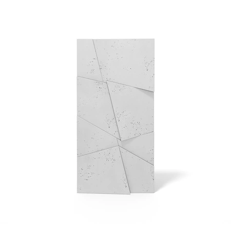 pol_pm_Plyta-betonowa-3D-PB05B-1200x600x48-jasnoszary-S50-wzor-B-5149_1.webp