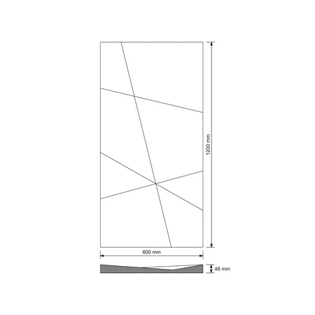 pol_pm_Plyta-betonowa-3D-PB05B-1200x600x48-jasnoszary-S50-wzor-B-5149_6.webp