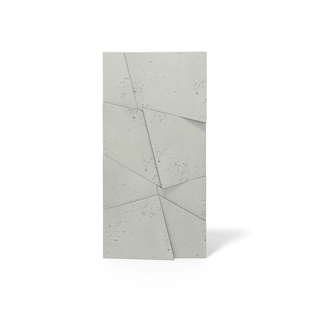 pol_pm_Plyta-betonowa-3D-PB05B-1200x600x48-pistacjowy-CL08-wzor-B-5362_1.webp