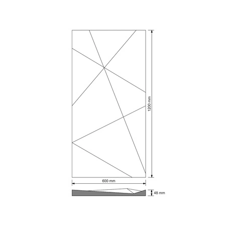pol_pm_Plyta-betonowa-3D-PB05C-1200x600x48-jasnoszary-S50-wzor-C-5150_6.webp