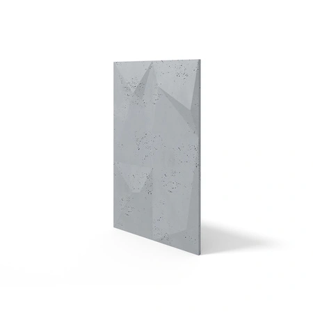 pol_pm_Plyta-betonowa-3D-PB07-1200x600x45-szary-S96-5402_2.webp