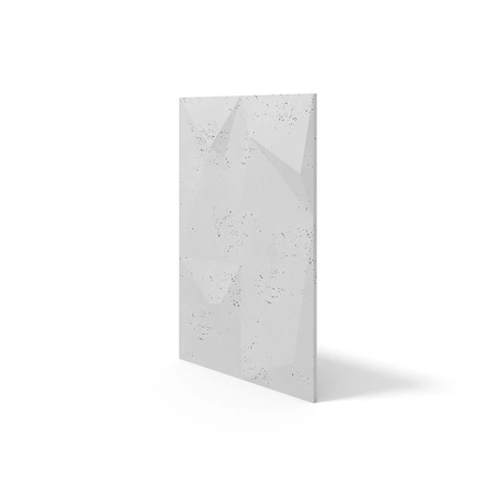 pol_pm_Plyta-betonowa-3D-PB07-1200x600x45-jasnoszary-S50-5401_2.webp