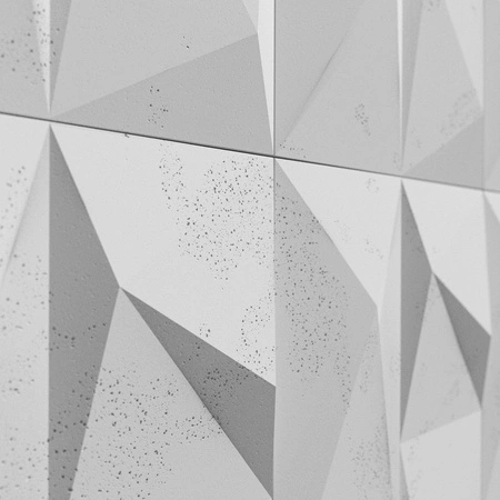 pol_pm_Plyta-betonowa-3D-PB07-1200x600x45-jasnoszary-S50-5401_4.webp