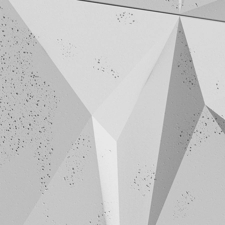 pol_pm_Plyta-betonowa-3D-PB07-1200x600x45-jasnoszary-S50-5401_5.webp