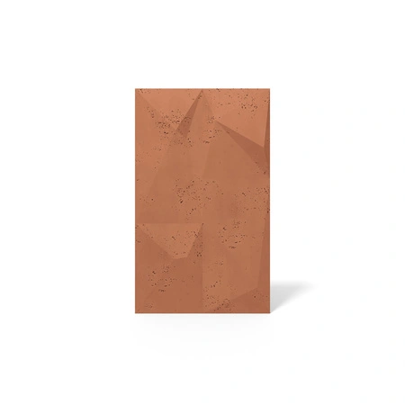 pol_pm_Plyta-betonowa-3D-PB07-1200x600x45-terakota-CL01-5412_1.webp