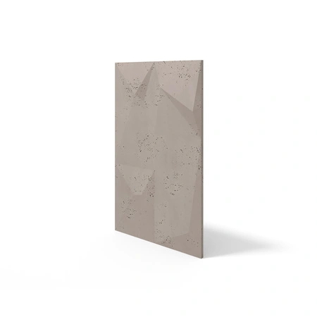 pol_pm_Plyta-betonowa-3D-PB07-1200x600x45-szarobezowy-CL05-5406_2.webp