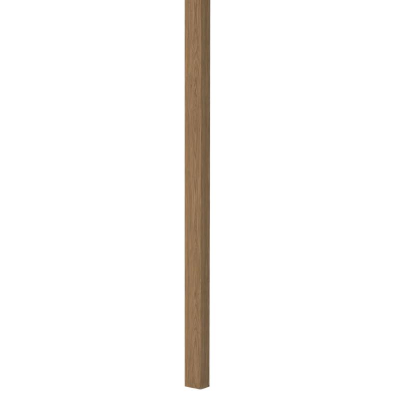 25.webp